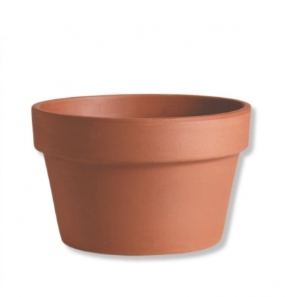 Azalea Clay Pot 8.25"