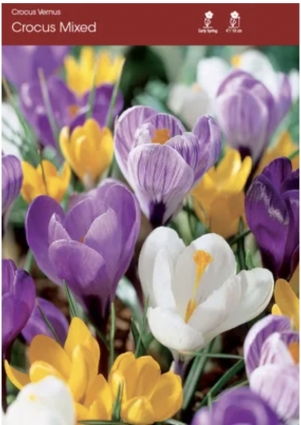 Botanical Mix Crocus Bulbs 20 Pack