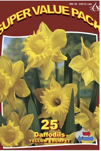 Yellow Narcissus&nbsp;&nbsp;Bulbs 25 Pack