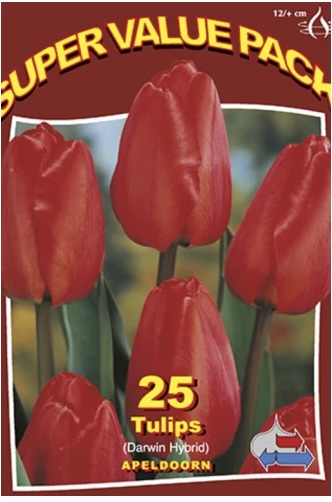 Apeldoorn Tulip Bulbs&nbsp;&nbsp;25 Pack
