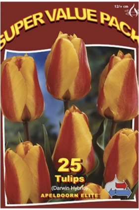 Apeldoorn�s Elite Tulip Bulbs 25 Pack