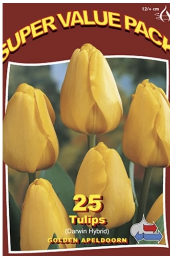 Golden Apeldoorn Tulip Bulbs 25 Pack