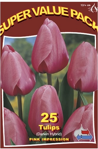 Pink Impression Tulip Bulbs 25 Pack