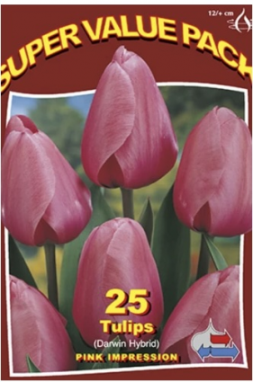Pink Impression Tulip Bulbs 25 Pack