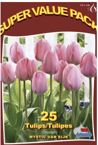 Mystic van Eijk Tulip Bulbs 25 Bulbs