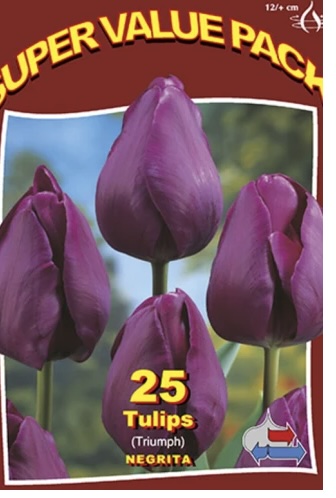 Negrita Tulip Bulbs 25 Pack