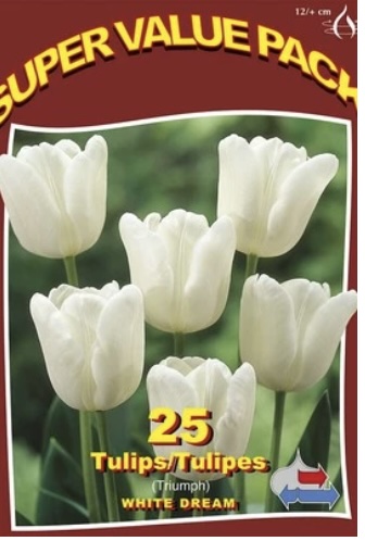 White Dream Tulip Bulbs 25 Pack