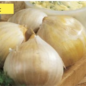 Elephant Garlic Bulbs 3 Pack