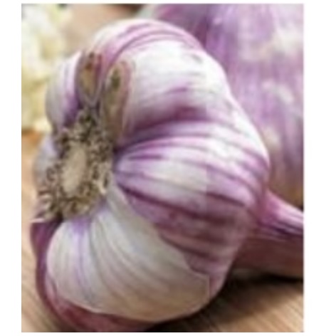 Metechi Garlic Bulbs 3 Pack