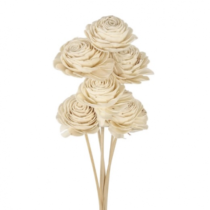 Sola Beauty Rose - Natural   6 Stems