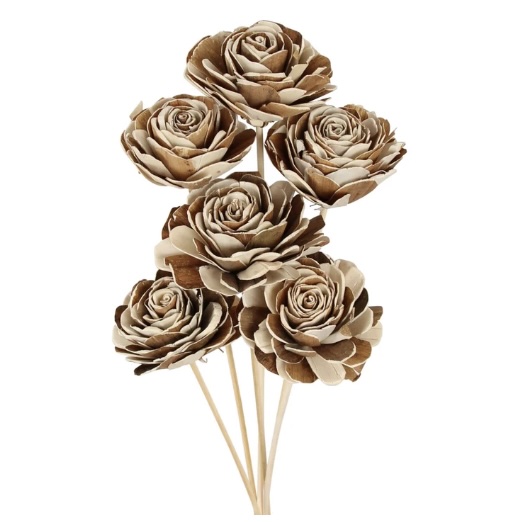 Sola Beauty Rose  6 Stems