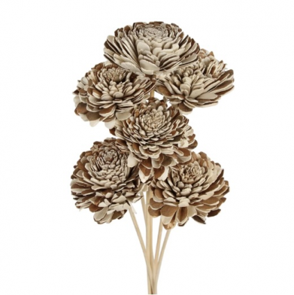 Sola Beli Flower 6 Stems