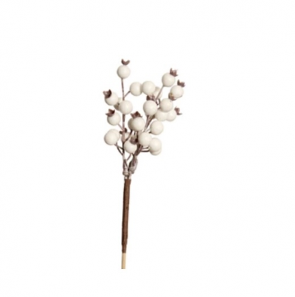 White Huckleberry Cluster Berry Pick