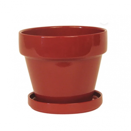 Paprika Standard Pot 5.5"