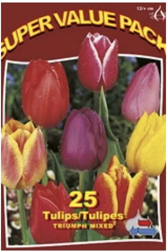 Mixed Triumph Tulip Bulbs 25 Pack