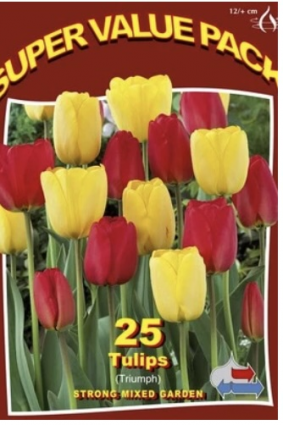 Strong Garden Mix Tulip Bulbs 25 Pack