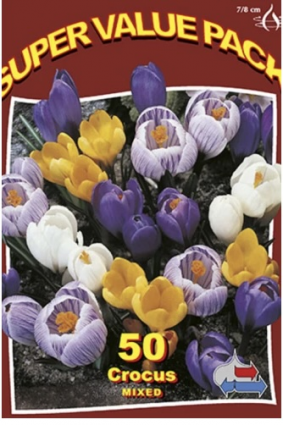 Mixed Crocus Bulbs 50 Pack