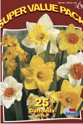 Mixed Narcissus Bulbs 25 Pack