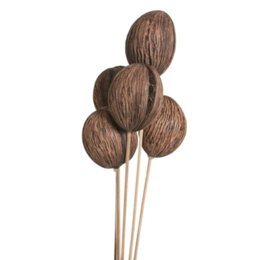 Natural Mintola Balls - 10 Stems