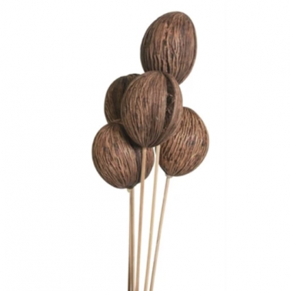 Natural Mintola Balls - 10 Stems