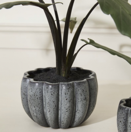 Black Spiced Pumpkin Pot 8.25"
