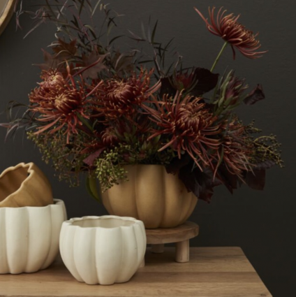 White Spiced Pumpkin Pot 5.75" 