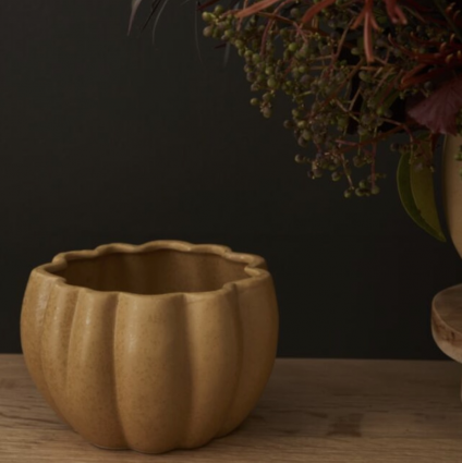 Ochre Spiced Pumpkin Pot 5.75"