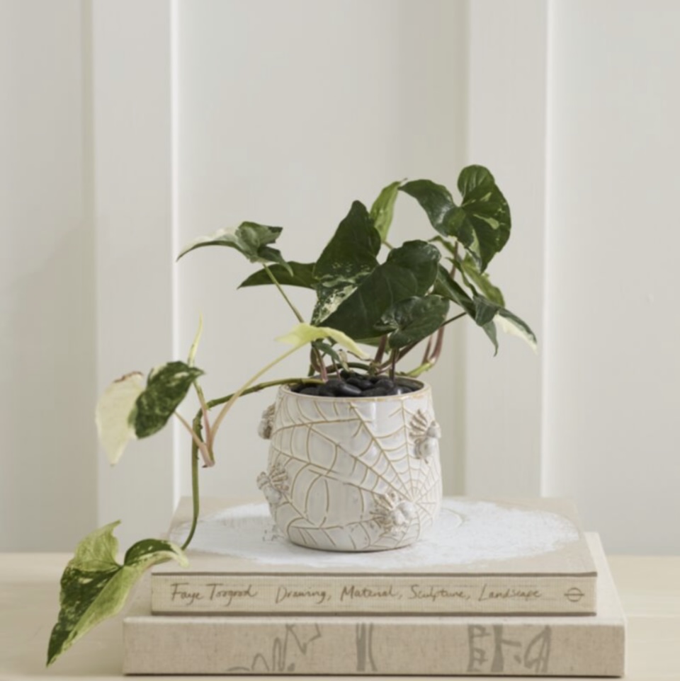 Off-White House Spider Pot 5"