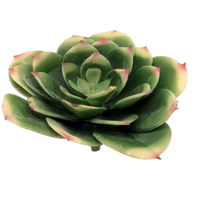 Faux Echeveria Pick 4.5"