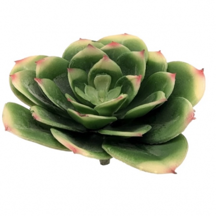 Faux Echeveria Pick 4.5"