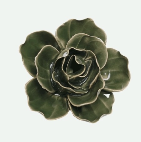 Fir Green Butterfly Ranunculus