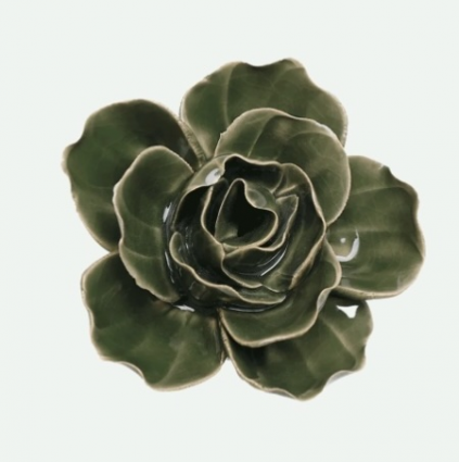 Fir Green Butterfly Ranunculus