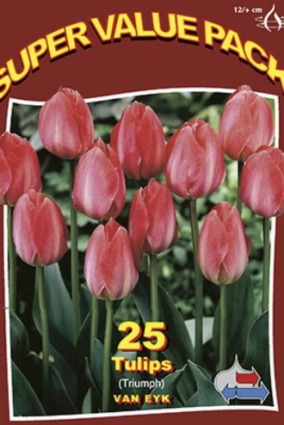 Van Eijk Garden Mix Value Pack Tulips 25 Pack