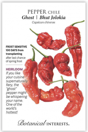 Ghost Bhut Jolokia Chile Pepper Seeds