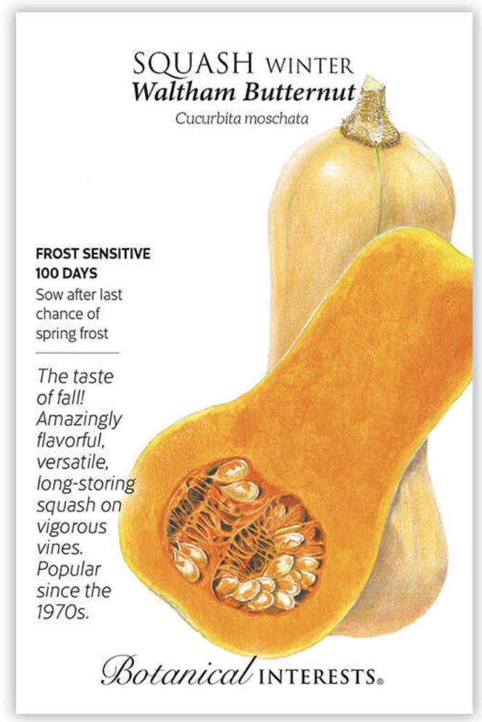 Waltham Butternut Winter Squash Seeds
