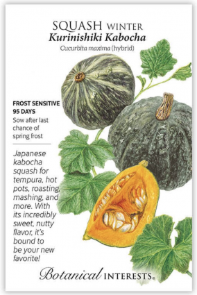 Kurinishiki Kabocha Winter Squash Seeds