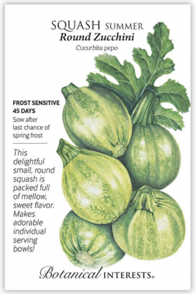 Round Zucchini Summer Squash Seeds