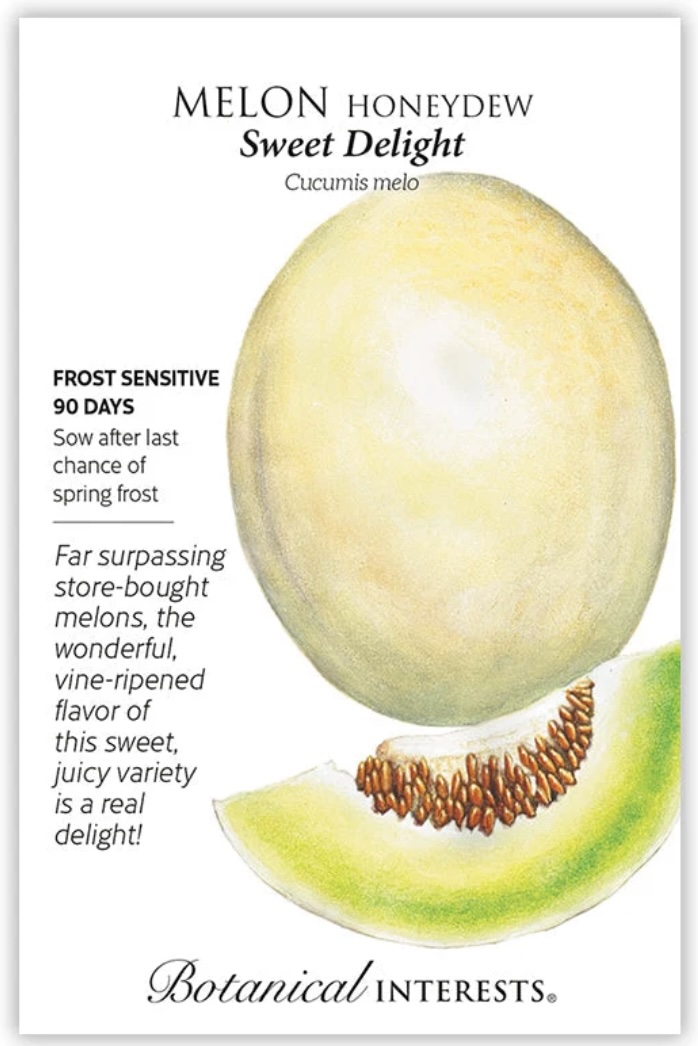 Sweet Delight Honeydew Melon Seeds