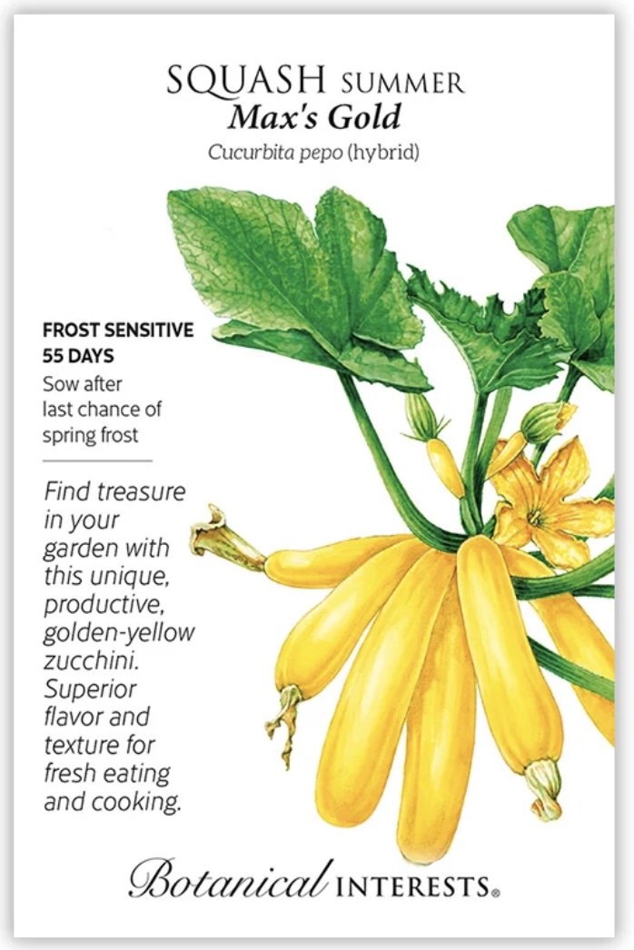 Max's Gold Summer Squash Seeds