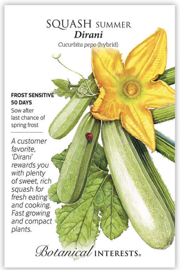 Dirani Summer Squash Seeds