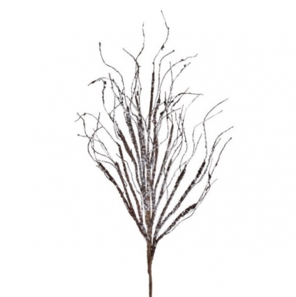 Snowed Winter Natural Branch