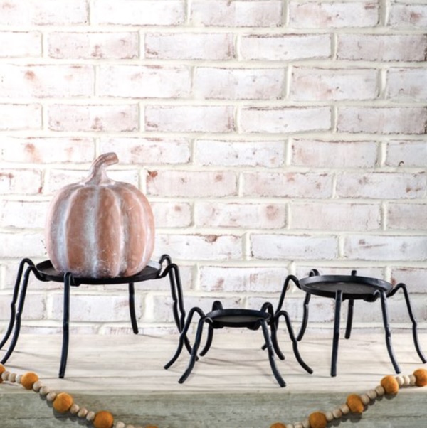 SPIDERS &amp; WEBS