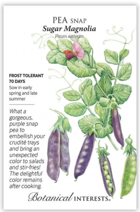 Sugar Magnolia Snap Pea Seeds