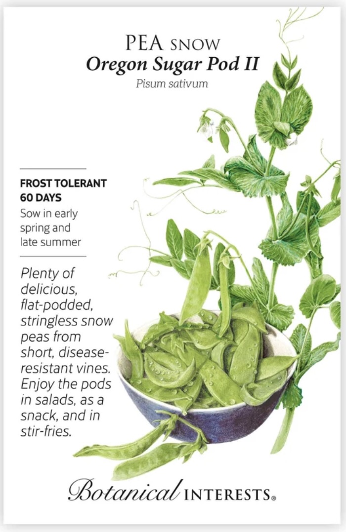 Oregon Sugar Pod II Snow Pea Seeds