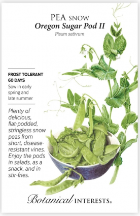 Oregon Sugar Pod II Snow Pea Seeds