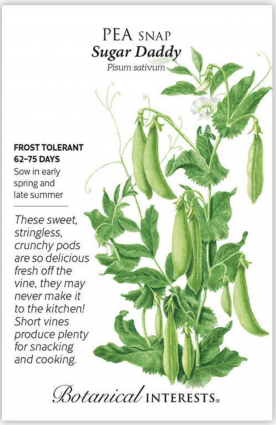 Sugar Daddy Snap Pea Seeds