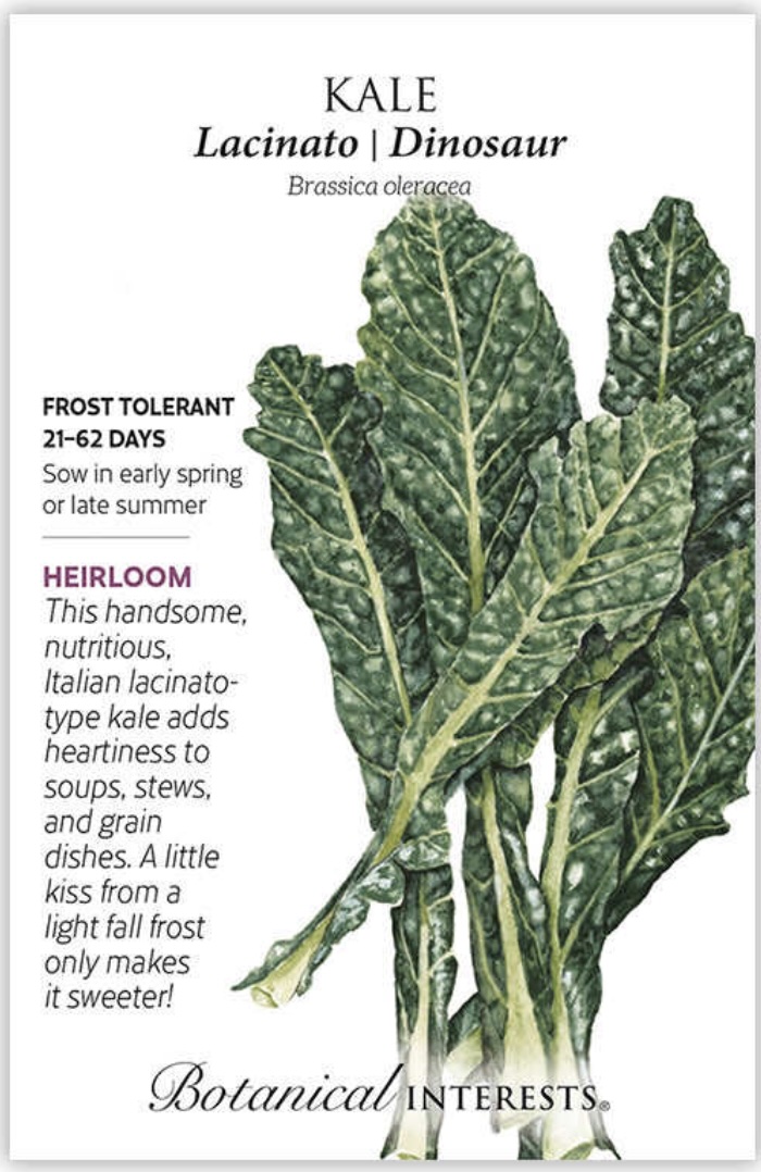 Lacinato Dinosaur Kale Seeds
