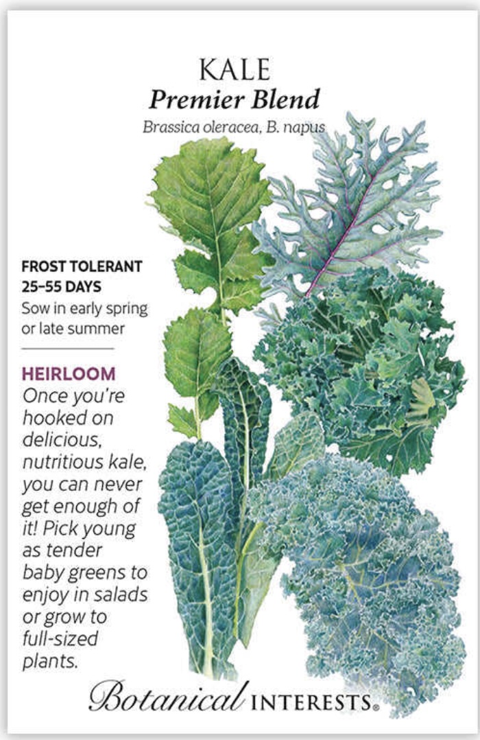Premier Blend Kale Seeds