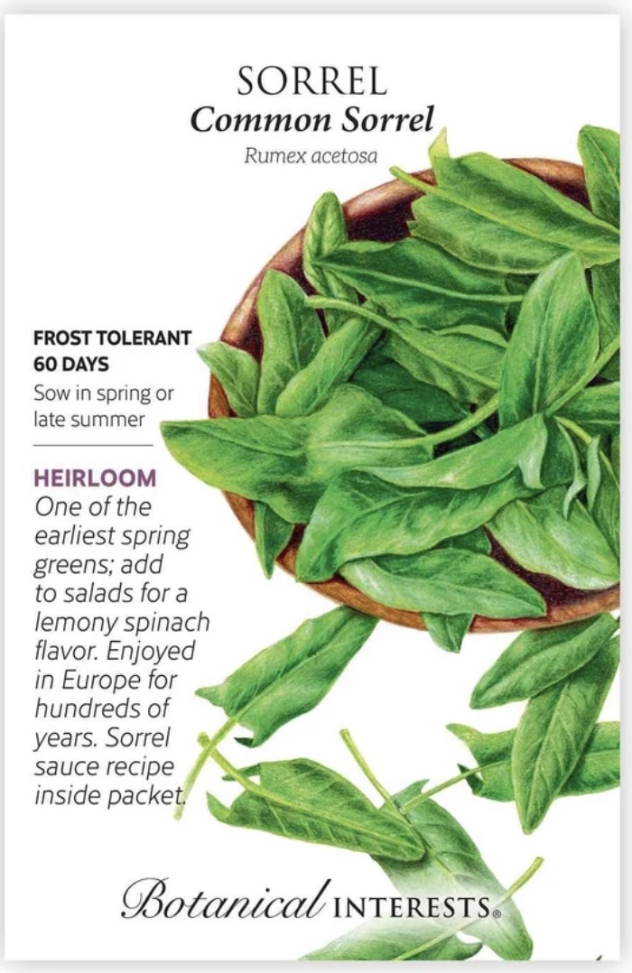 Common Sorrel Seeds