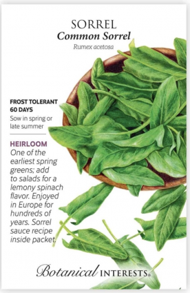 Common Sorrel Seeds